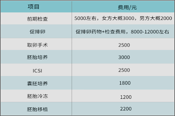 在国内生三代试管婴儿要多少钱